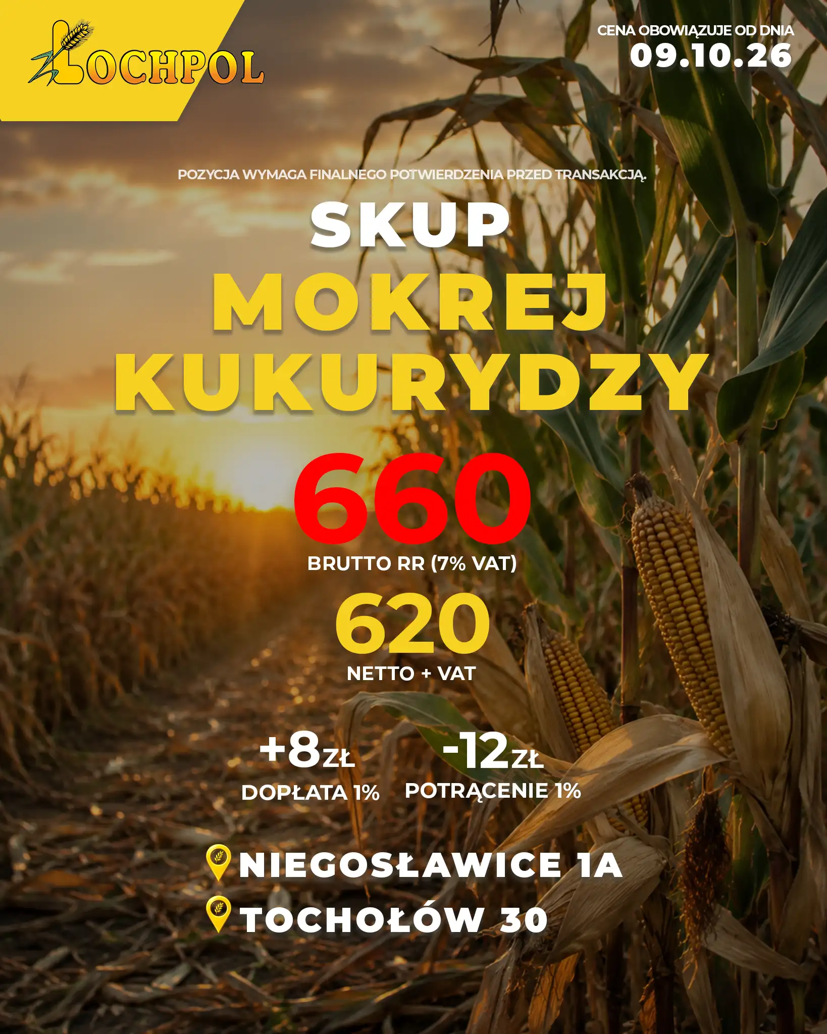 Łochpol – oferta skupu kukurydzy